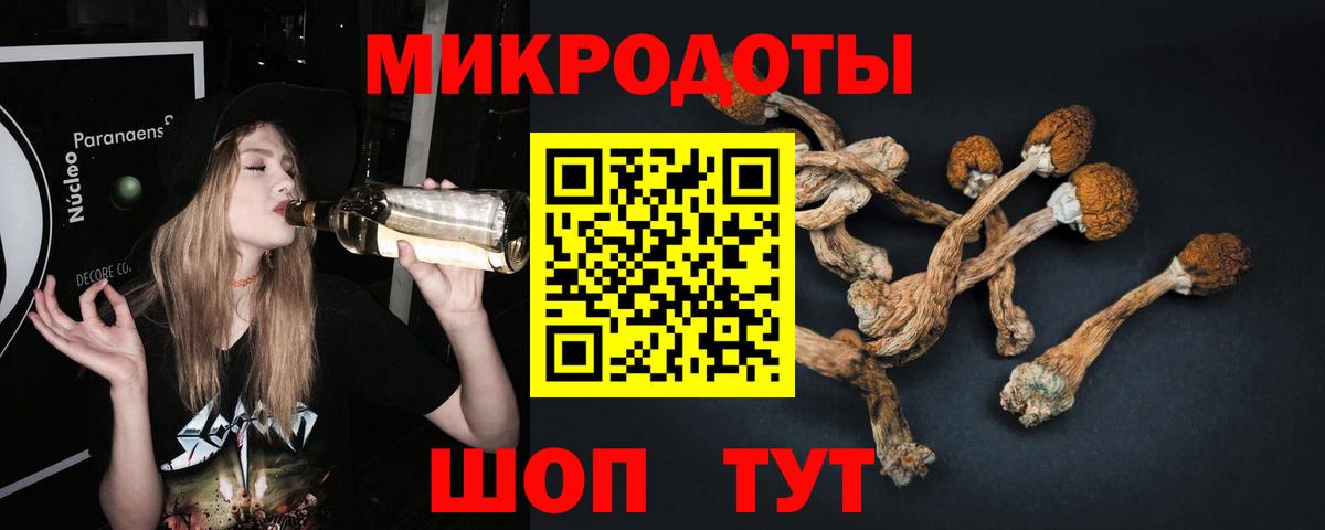 Псилоцибиновые грибы Psilocybine cubensis  Галлюциногенные грибы ЛСД  Калуга  Вход с VPN 